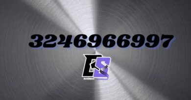 3246966997