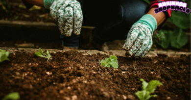 From Barren to Lush Hydroseeding for Greener Results and Sustainable Landscapes