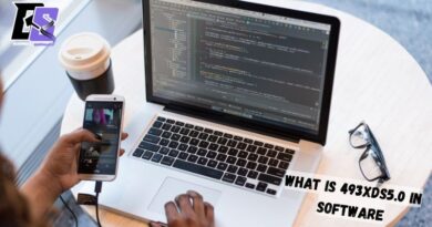 What is 493xds5.0 in Software